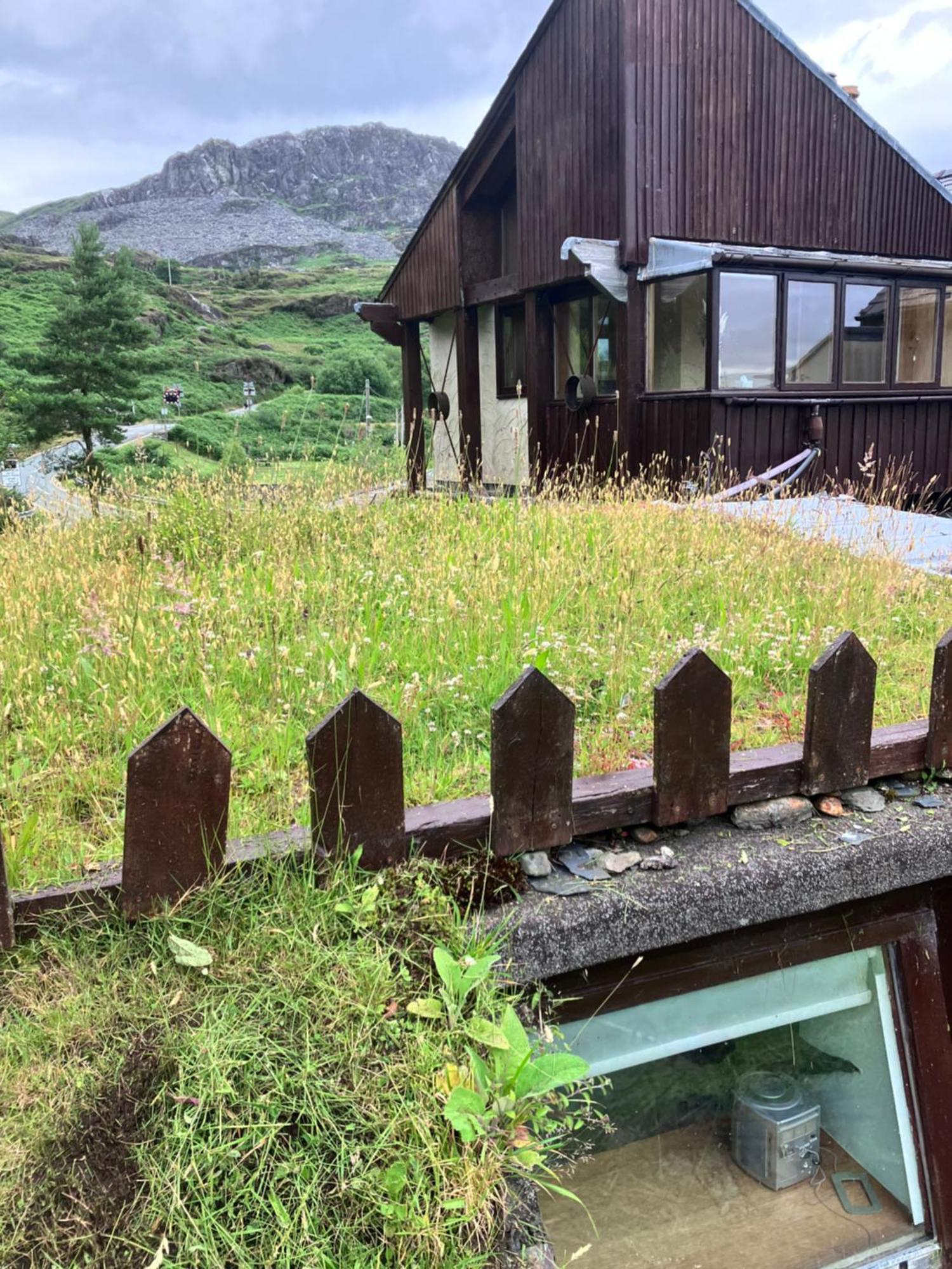 Gasthaus Bryn Elltyd Eco House Blaenau Ffestiniog Exterior foto